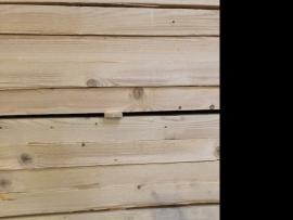 Spruce Cuts / Strips