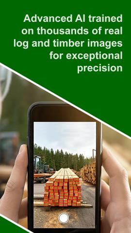 Stock WoodProfi - AI