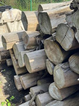 Teak Saw logs |  Tropical wood | Logs | SOFT IT SP .ZO.O SPÓŁKA Z OGRANICZONĄ ODPO