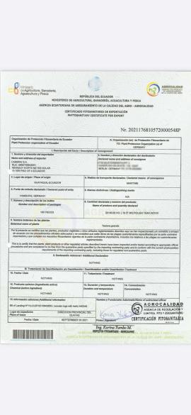 Teak Saw logs |  Tropical wood | Logs | SOFT IT SP .ZO.O SPÓŁKA Z OGRANICZONĄ ODPO