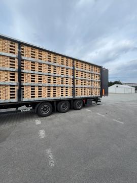 Pallets Single-use pallets |  Packaging, pallets | Woodproo s.r.o.